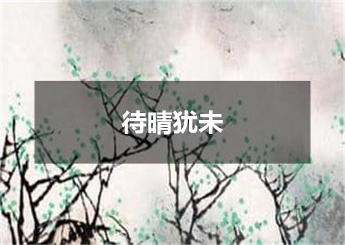 待晴犹未