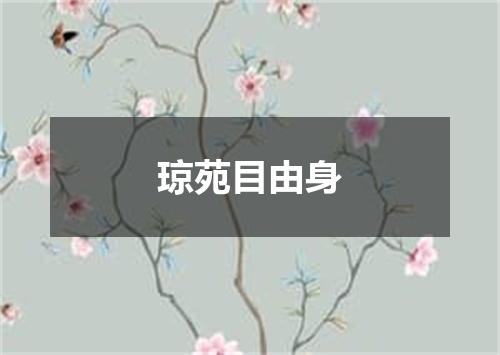 琼苑目由身