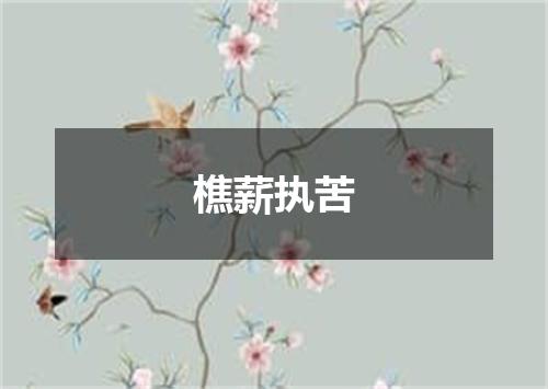 樵薪执苦