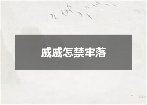 戚戚怎禁牢落