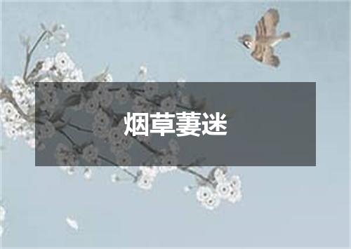 烟草萋迷
