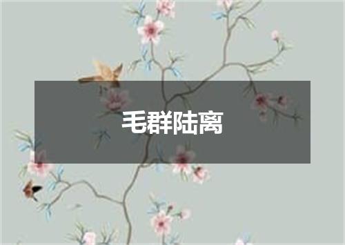毛群陆离