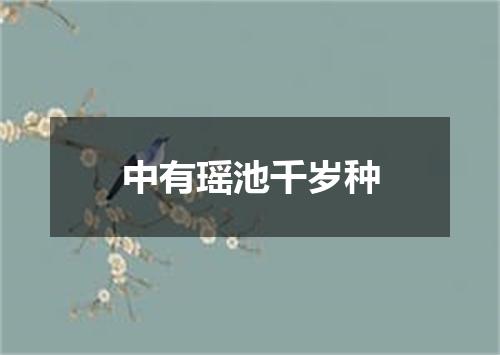 中有瑶池千岁种