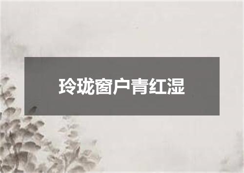 玲珑窗户青红湿