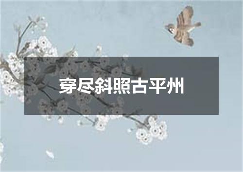 穿尽斜照古平州