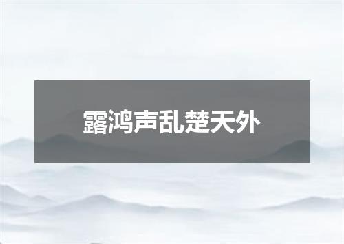 露鸿声乱楚天外