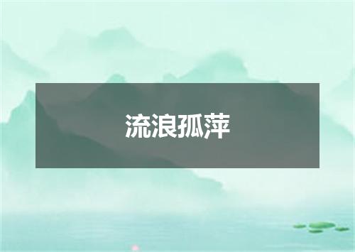 流浪孤萍