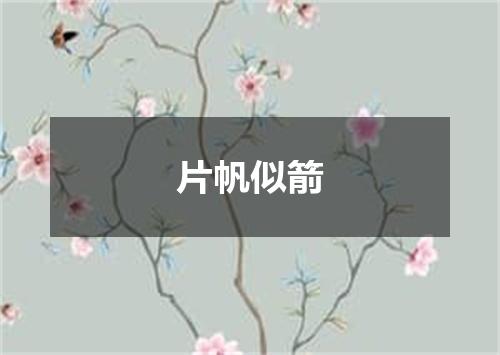 片帆似箭