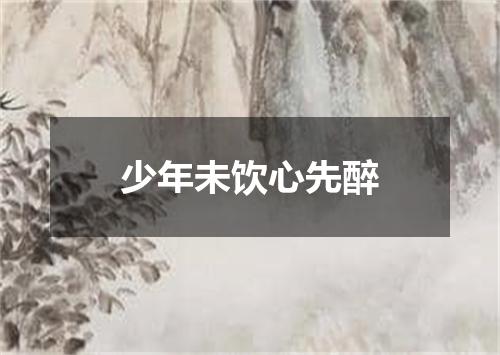 少年未饮心先醉