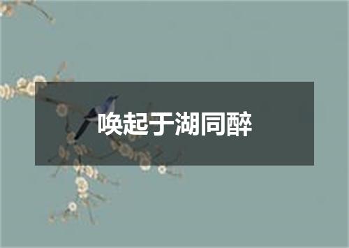 唤起于湖同醉