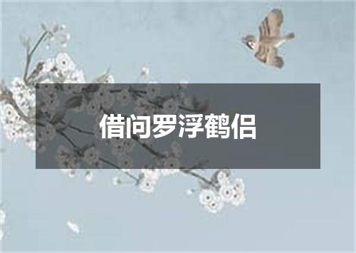 借问罗浮鹤侣
