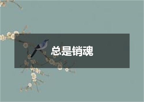 总是销魂