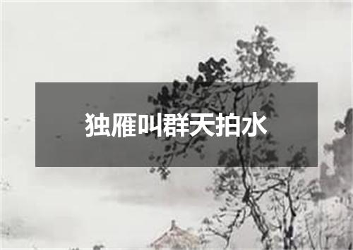 独雁叫群天拍水