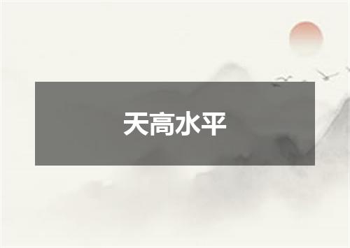 天高水平
