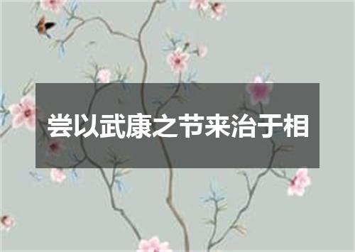 尝以武康之节来治于相