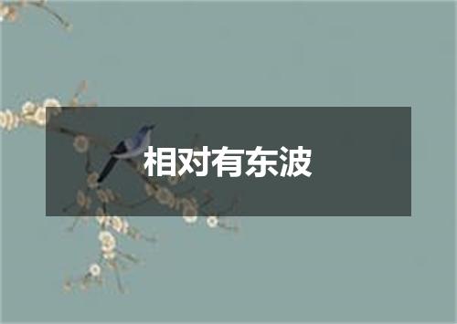 相对有东波