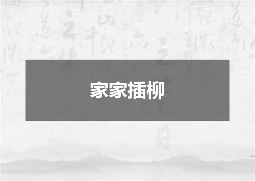 家家插柳