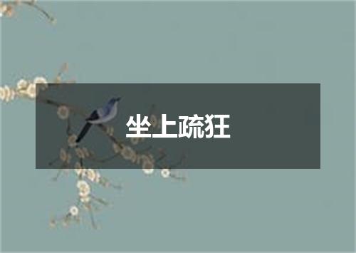 坐上疏狂