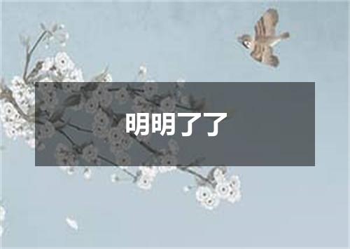 明明了了