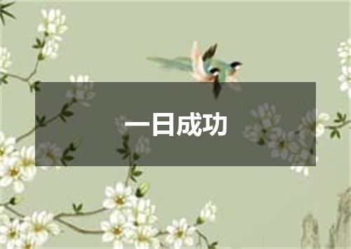 一日成功