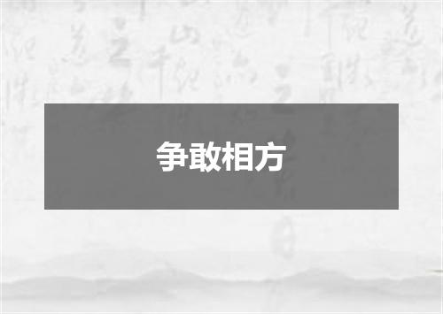 争敢相方