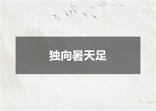 独向暑天足