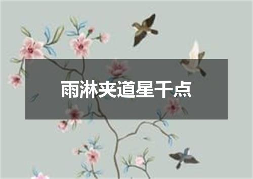 雨淋夹道星千点
