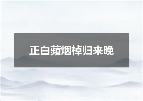 正白蘋烟棹归来晚