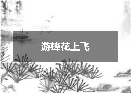 游蜂花上飞