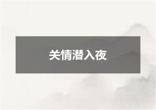 关情潜入夜