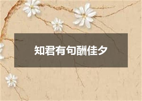 知君有句酬佳夕