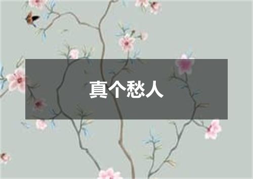 真个愁人