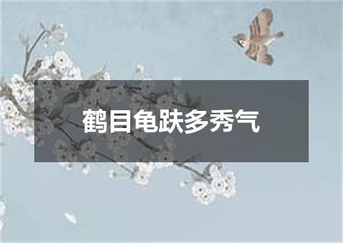 鹤目龟趺多秀气