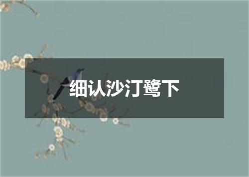 细认沙汀鹭下