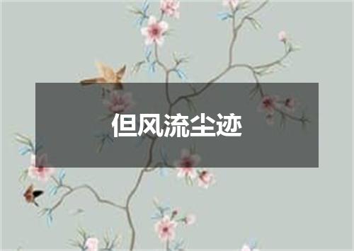 但风流尘迹