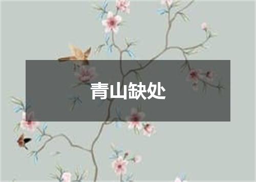 青山缺处