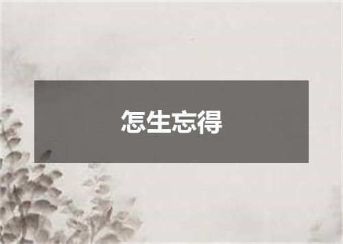 怎生忘得