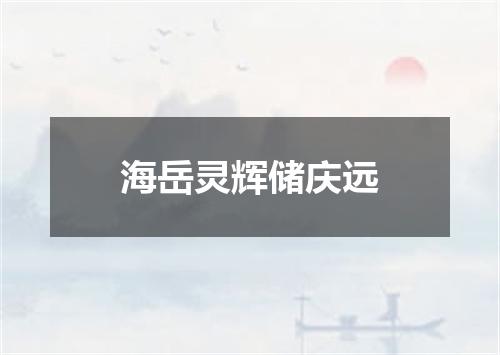 海岳灵辉储庆远