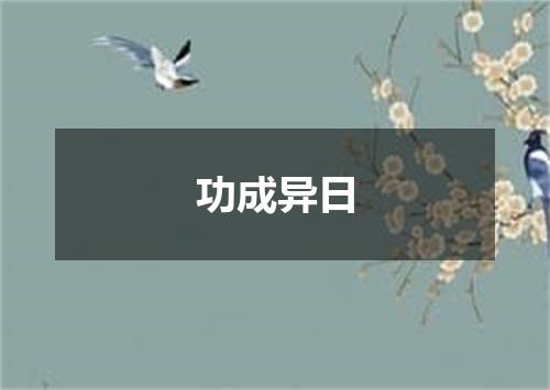 功成异日