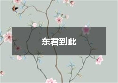 东君到此