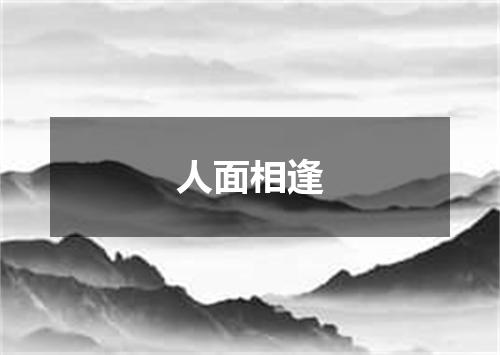 人面相逢