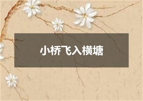 小桥飞入横塘
