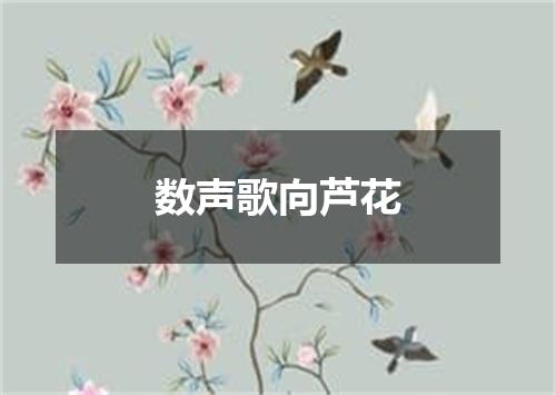 数声歌向芦花