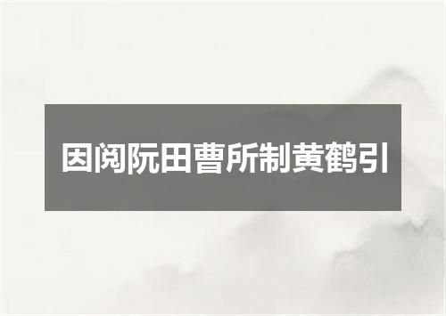 因阅阮田曹所制黄鹤引