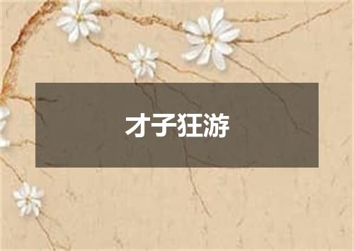 才子狂游