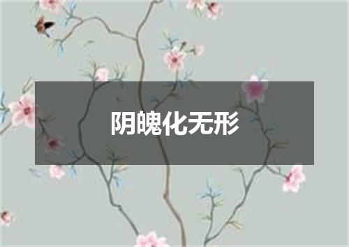 阴魄化无形