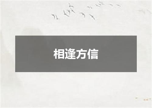 相逢方信