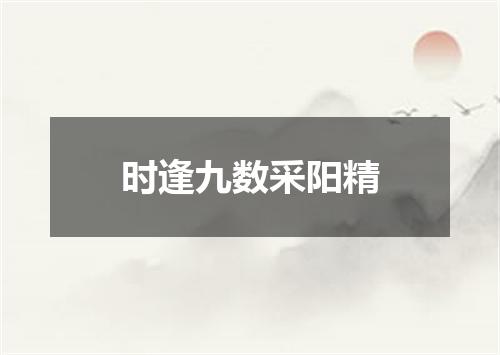 时逢九数采阳精