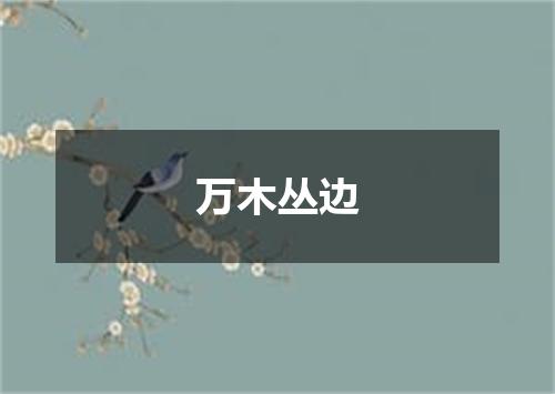 万木丛边