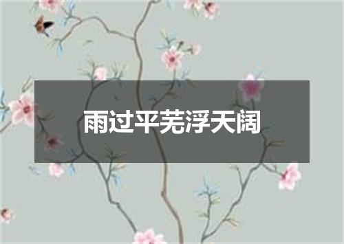 雨过平芜浮天阔
